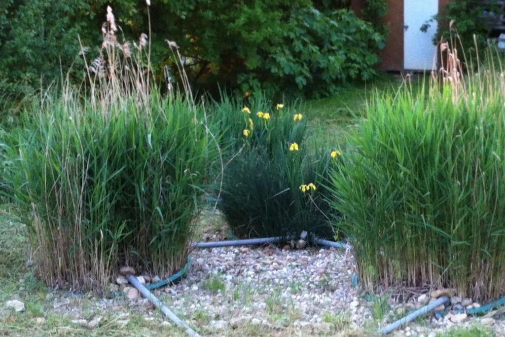 Appartement Neuf & Ecologique A La Campagne Marzens المظهر الخارجي الصورة